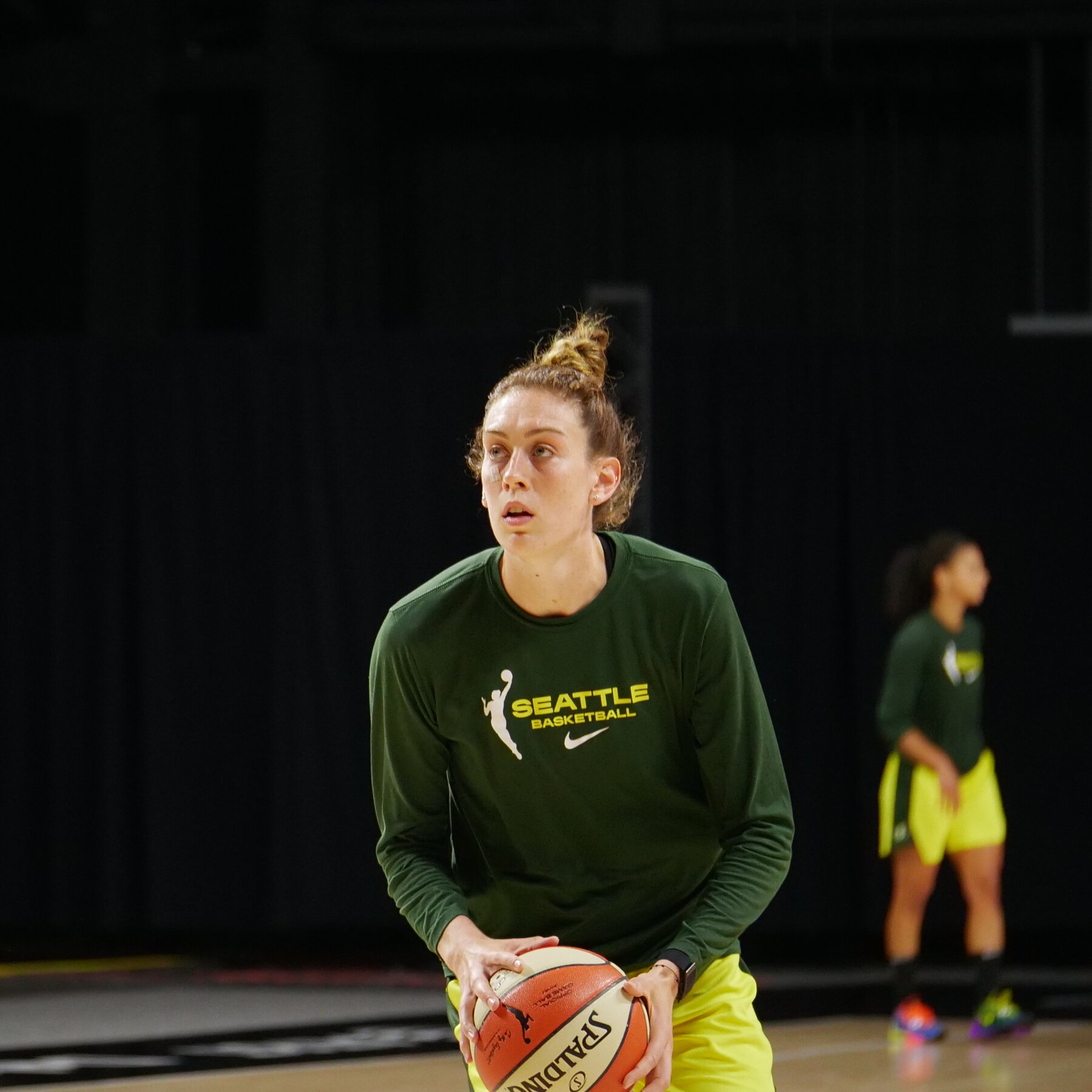 Breanna Stewart Ethnicity: Where Is The WNBA Star From?